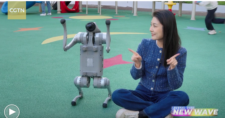 From plush toys to holograms: The growing world of AI companionship